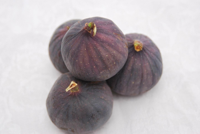 Инжир черный принц