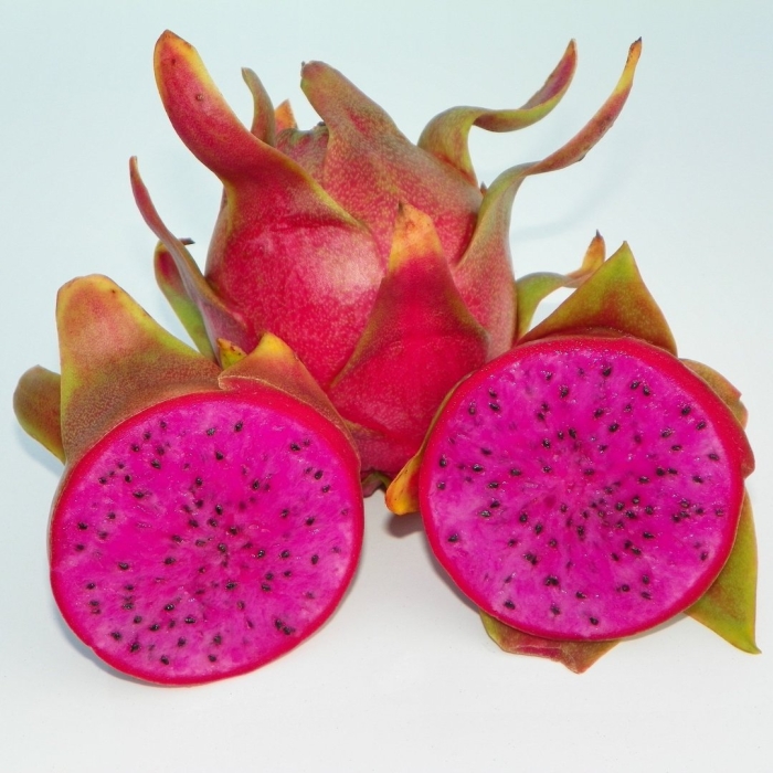 Питайя инжир