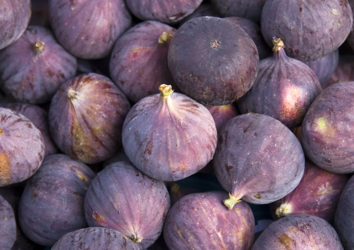 Свежий инжир