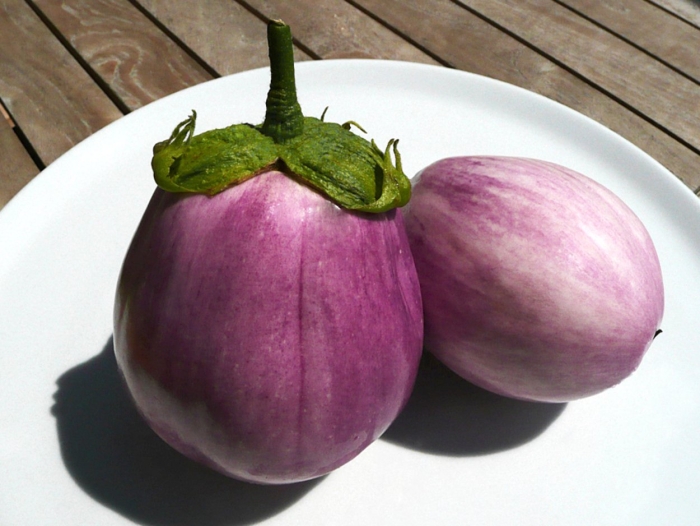 Баклажан меланзана сорт