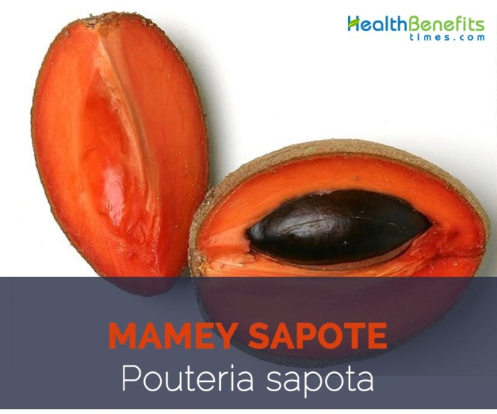 Pouteria sapota