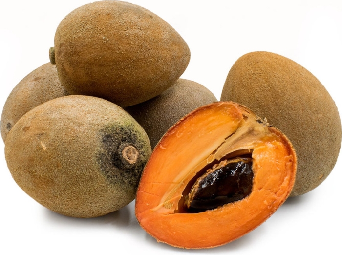 Маммея сапота