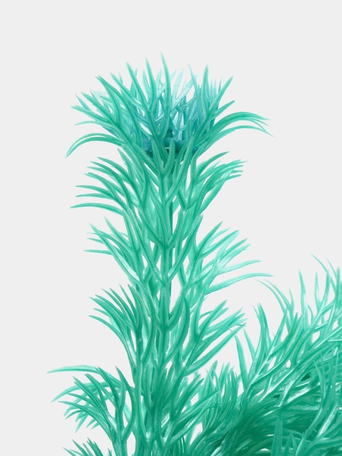 Растение для аквариума пластиковое barbus plant