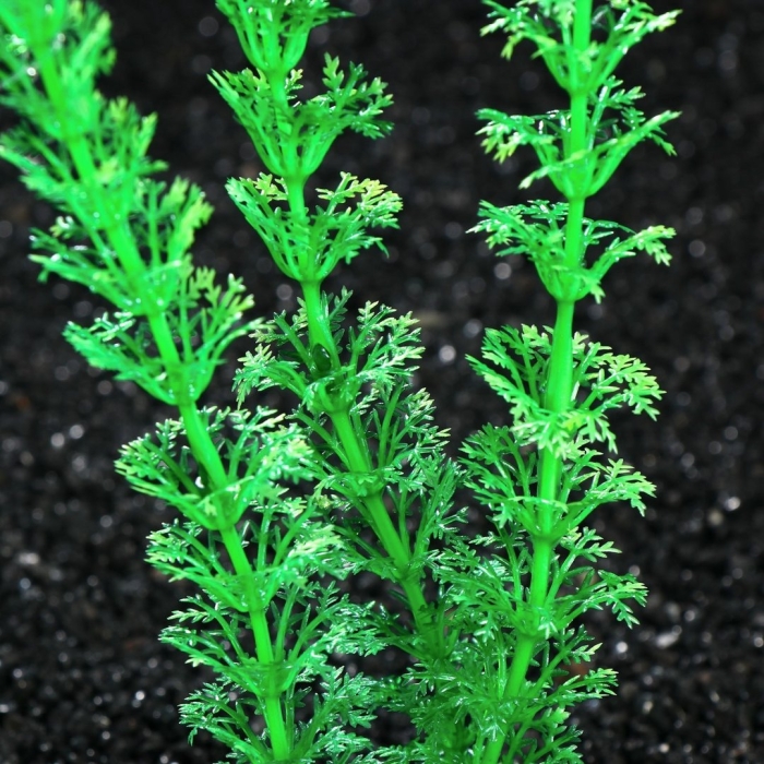 Растение аквариумное пижон аква искусственное