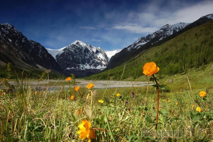 Горный алтай шавлинские озера