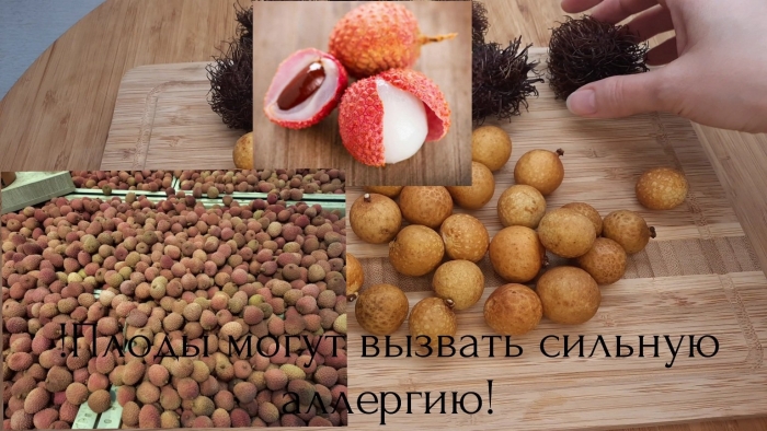 Личи рамбутан лонган