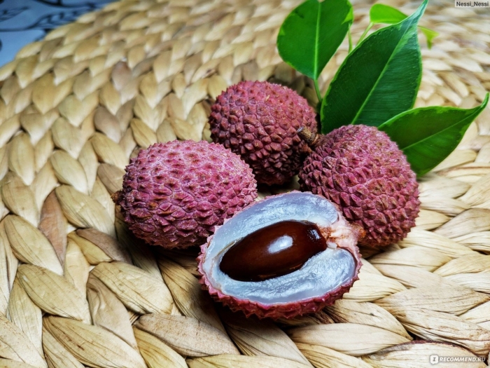 Саженцы личи