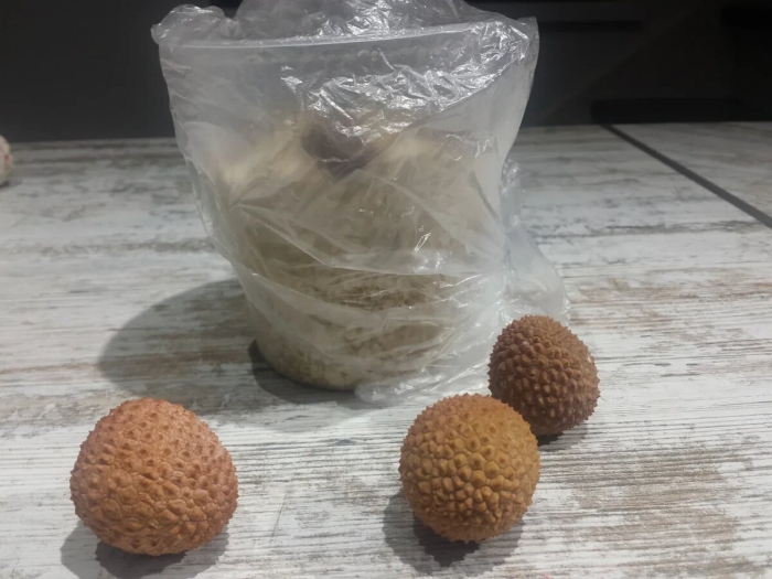 Косточка личи