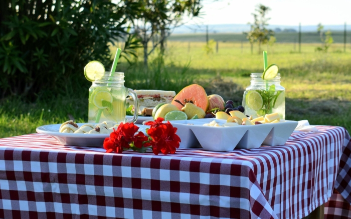 Стол на пикник