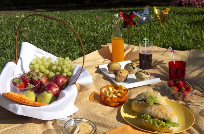 Стол на пикник