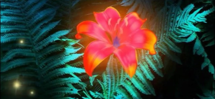 Цветок папоротника на ивана купала