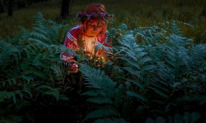 Цветущий папоротник в ночь на ивана купала