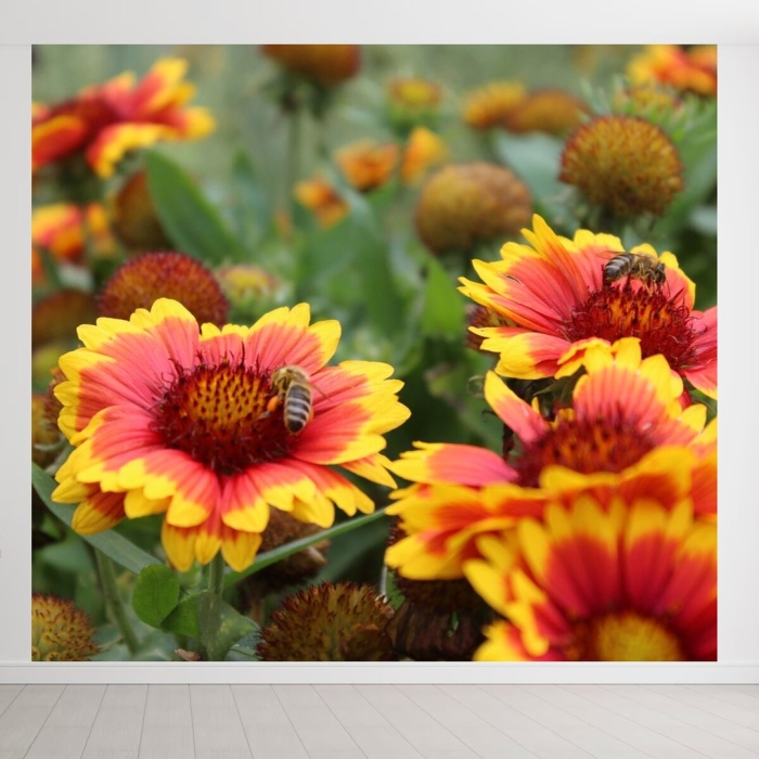 Пчела насекомое