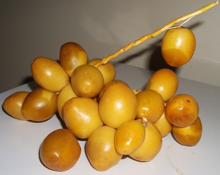 Финик свежий