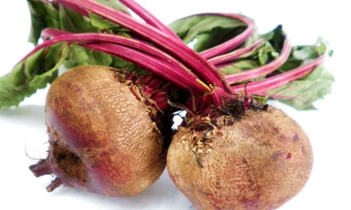 Свекла сорта