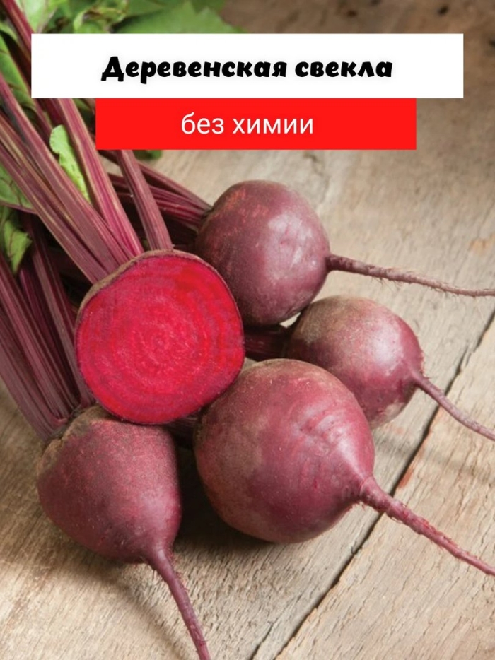 Свекла болтарди