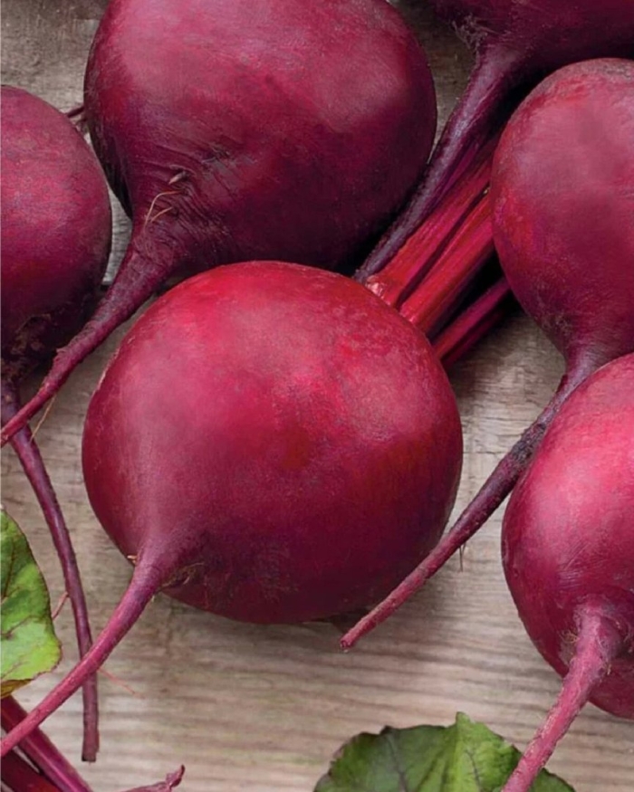 Столовая свекла сорта бордо