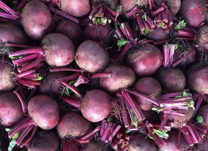 Cемена свеклы столовой