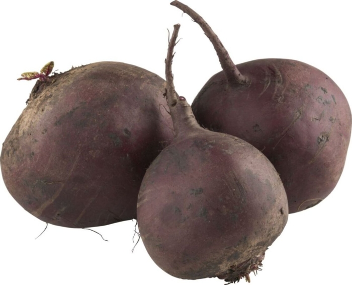 Свекла столовая