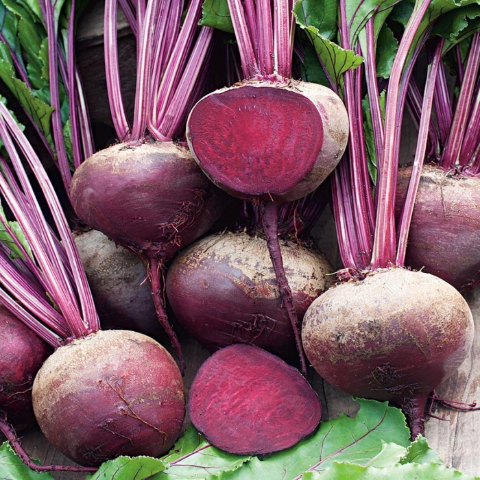 Свекла столовая (beta vulgaris)