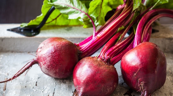 Свекла вареная
