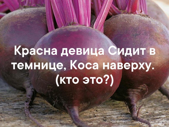 Красная свекла