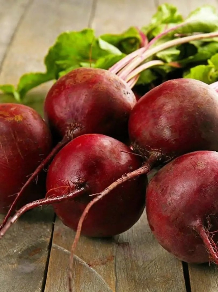 Сорта свеклы