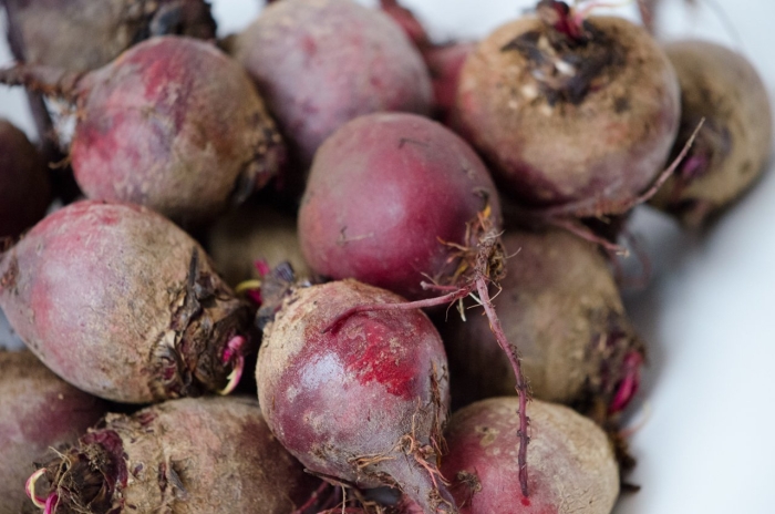 Сорт chioggia свекла