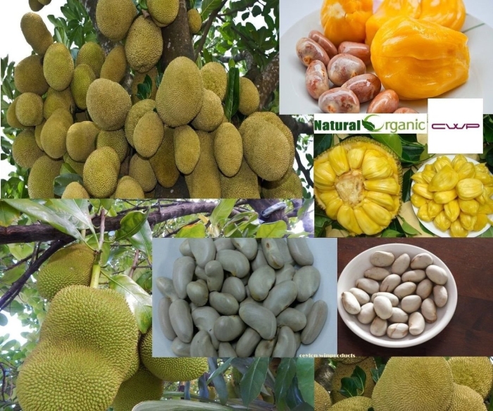 Семена фруктов