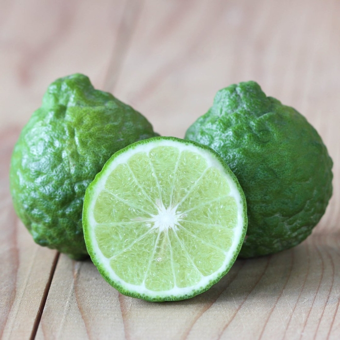 Цитрус каффир лайм