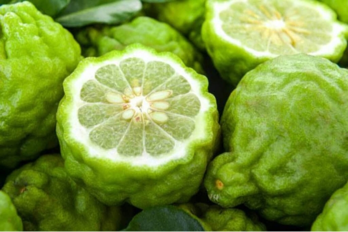 Бергамот цитрус