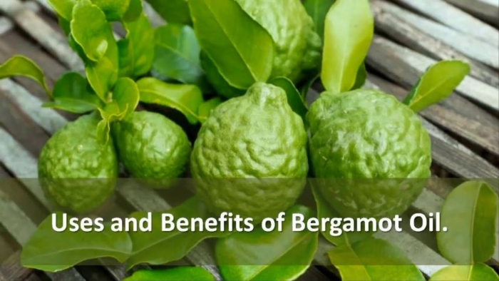 Bergamot essential oil
