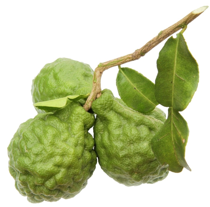 Трава бергамот