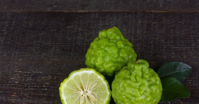 Бергамот цитрус