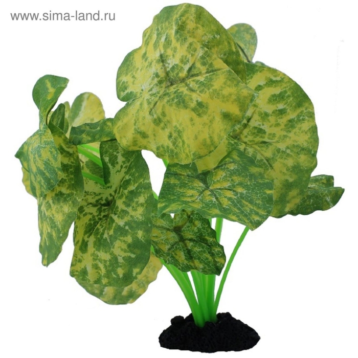 Растение шелковое prime нимфея