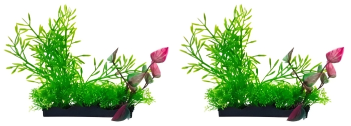 Растение для аквариума