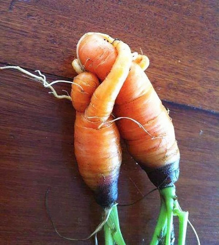 Смешная морковка