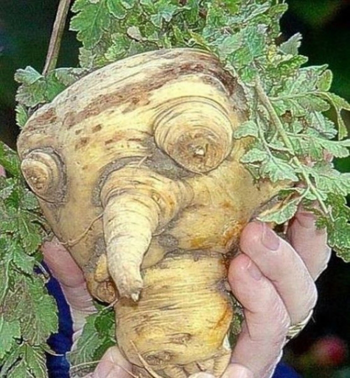 Смешные овощи и фрукты