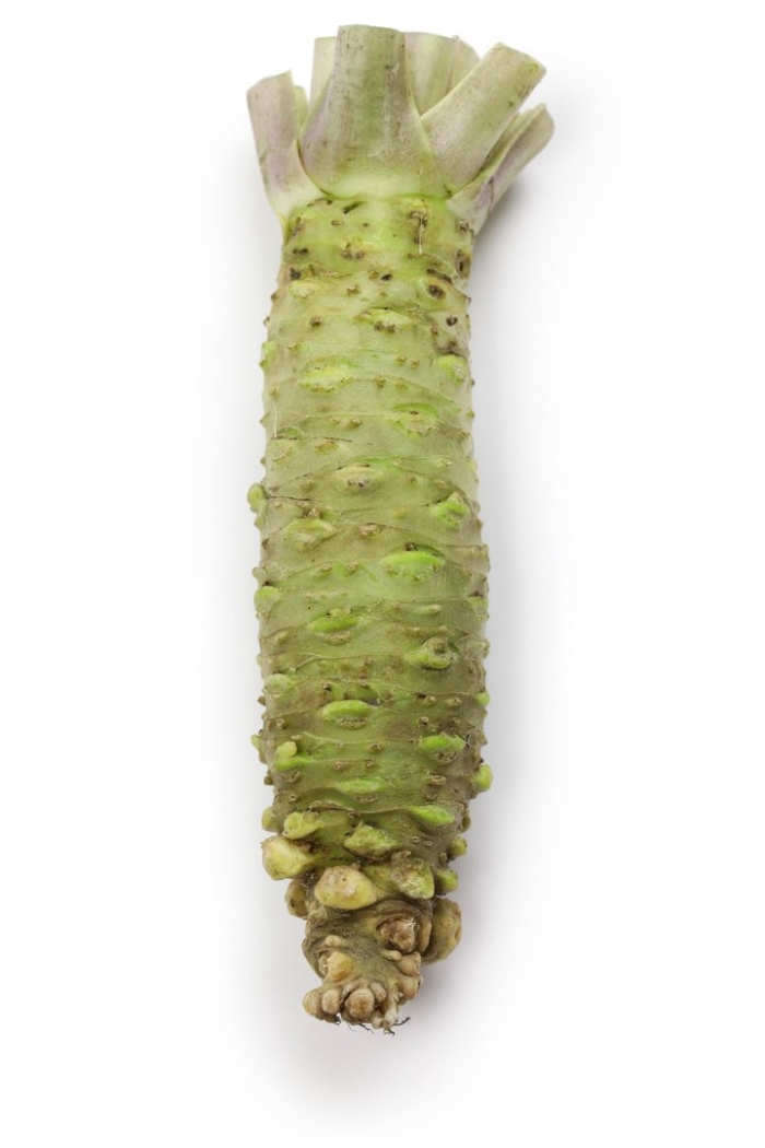 Хрен васаби