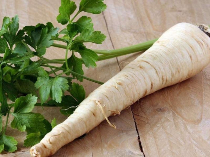 Пастернак корнеплод