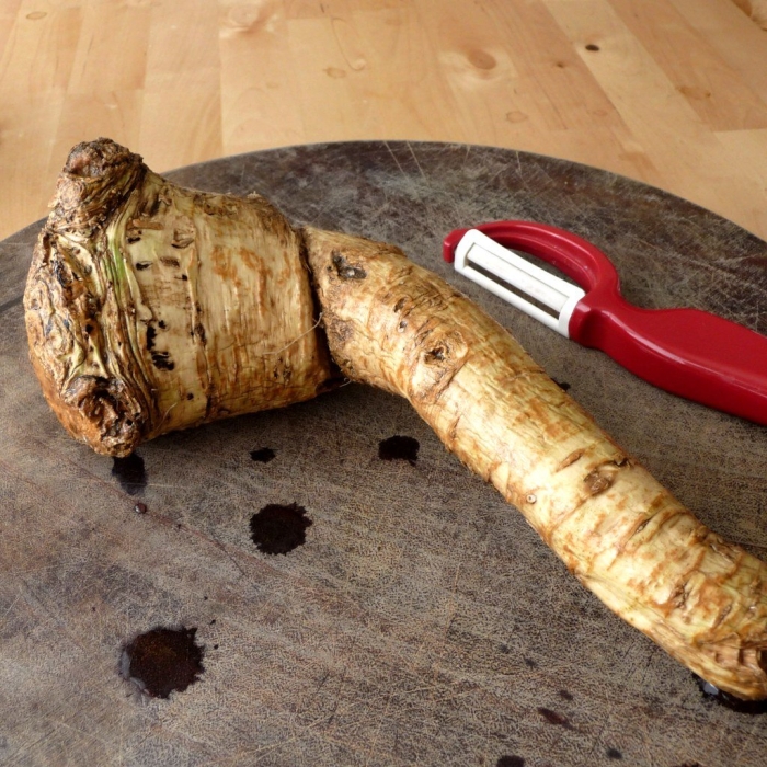 Корень хрен