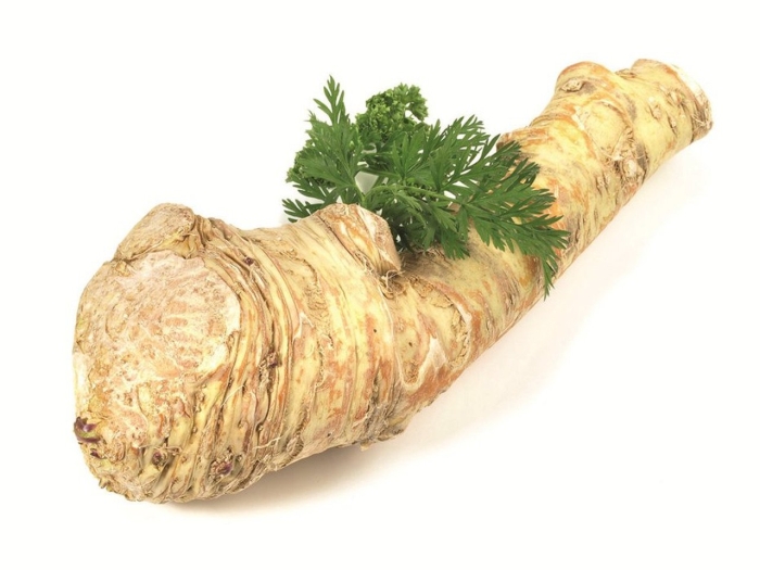 Пастернак корень петрушки