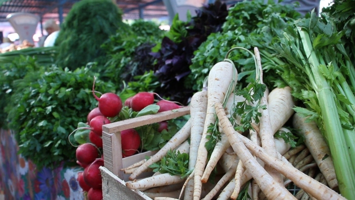 Петрушка корнеплод