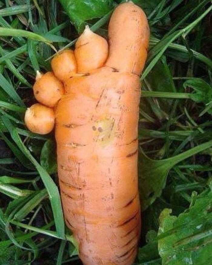 Необычные овощи