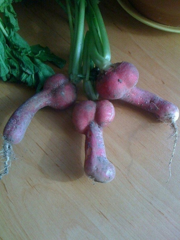 Овощи похожие на член