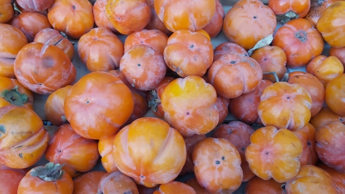 Фрукт хурма