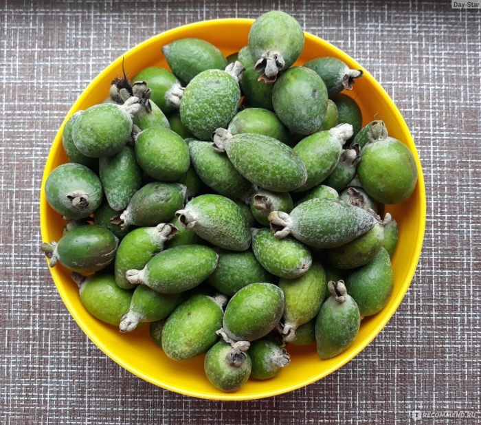 Гуава и фейхоа