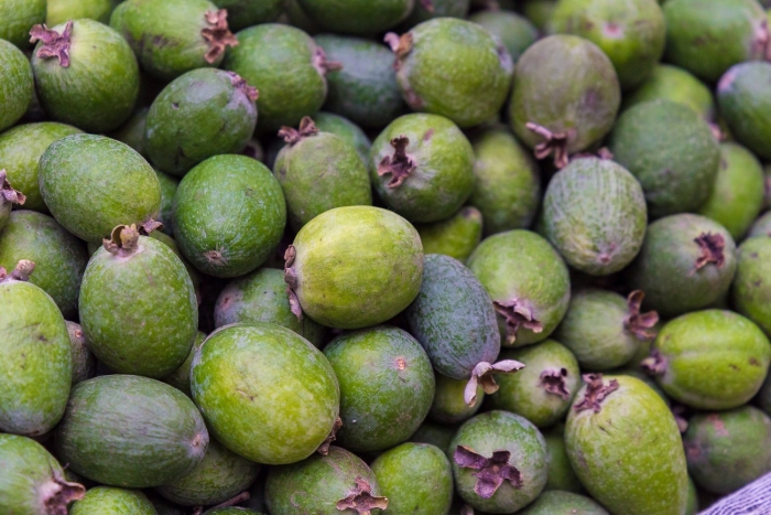 Фрукт фейхоа