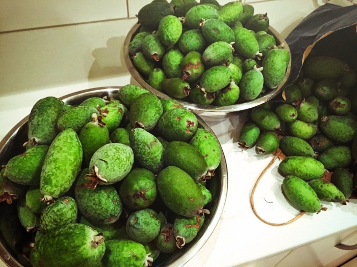 Фейхоа сушеная