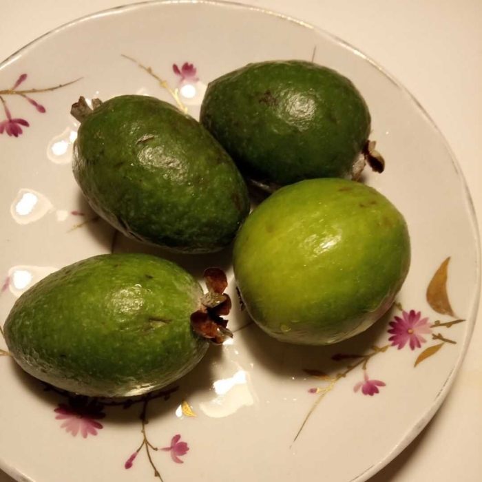 Фейхоа полезные свойства